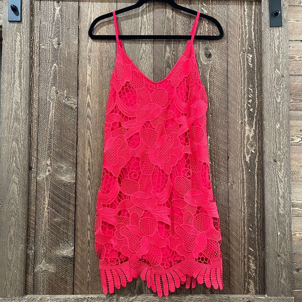 Express Lace Pink Dress